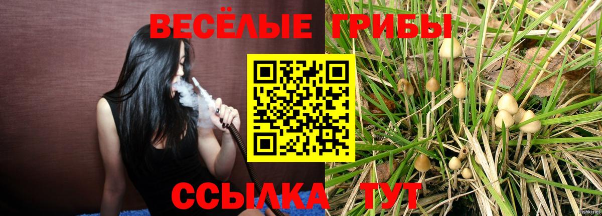 Галлюциногенные грибы ЛСД  Вход с VPN  Карталы 