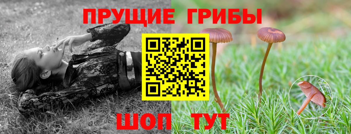 Псилоцибиновые грибы Magic Shrooms Карталы